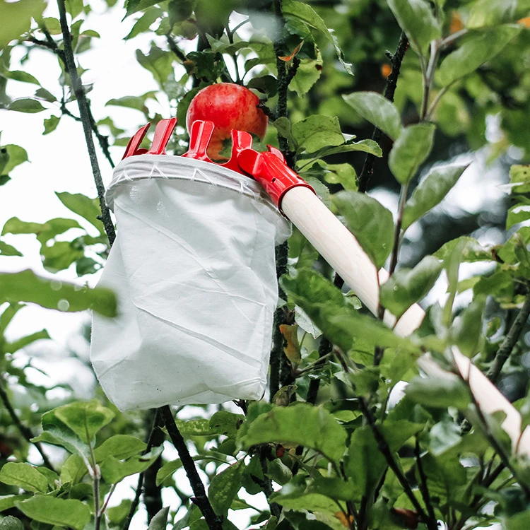 Frugtplukker 1 Frugtplukker