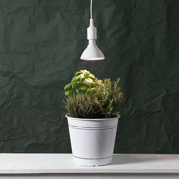 Vækstlampe 1 Vækstlampe