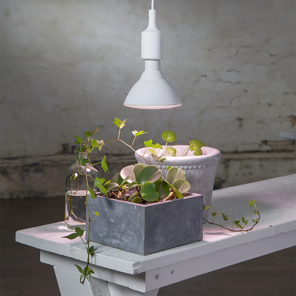 Vækstlampe 2 Vækstlampe - Billede 2