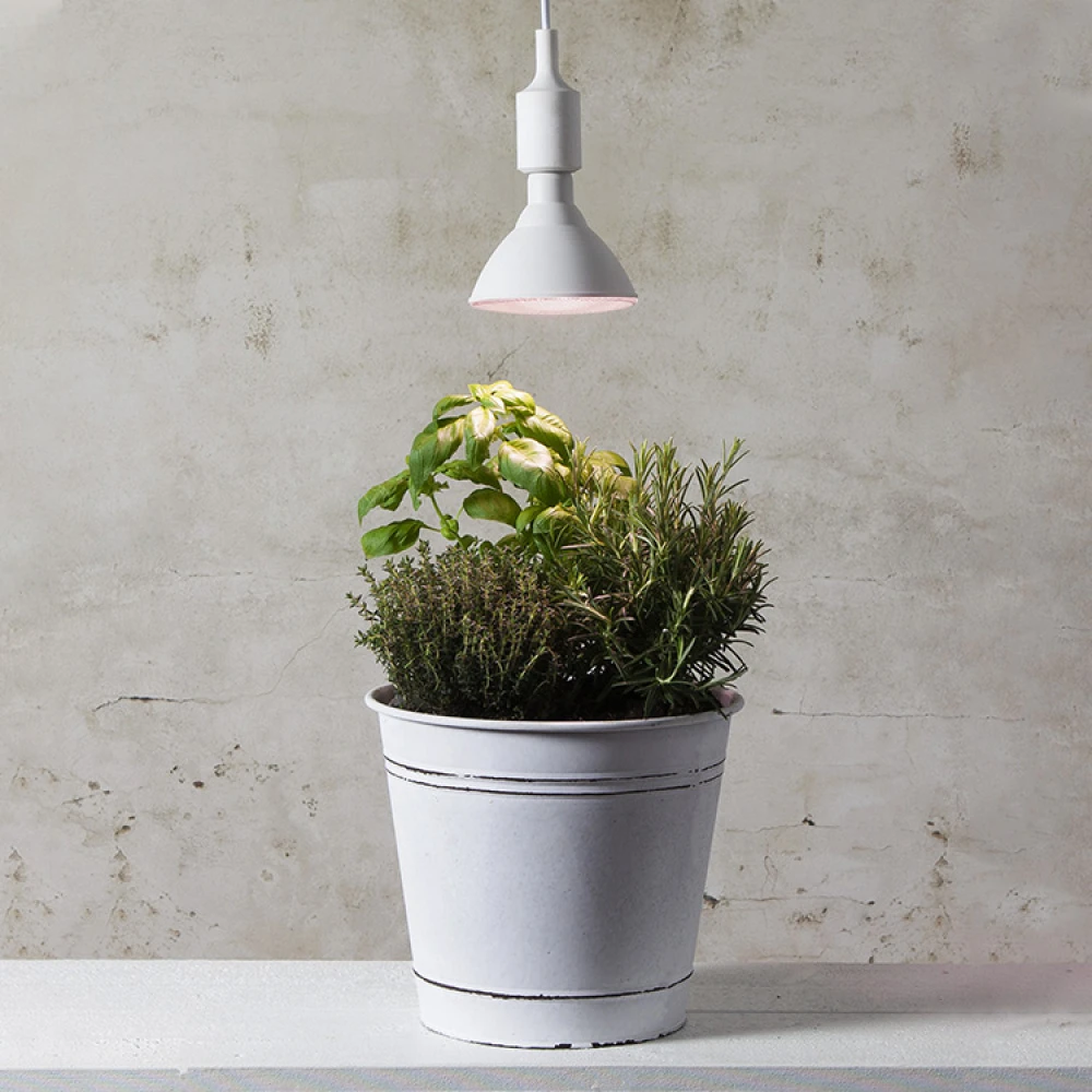 Vækstlampe 3 Vækstlampe - Billede 3