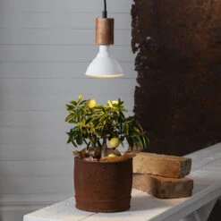 Plantelampe 8 Plantelampe -SmartaSaker butik 11871 3