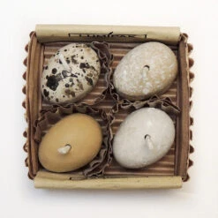 Fyrfadslys Olie 4-pak 16 Fyrfadslys Olie 4-pak -SmartaSaker butik 12186 8