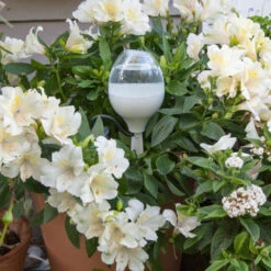 Blomstervander -SmartaSaker butik 12472 3