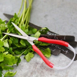 Ergonomisk Køkkensaks