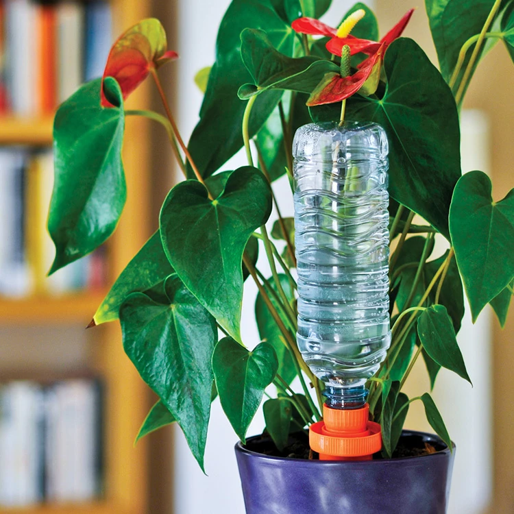 Keramisk Selvvandning, 4-pak 1 Keramisk Selvvandning, 4-pak