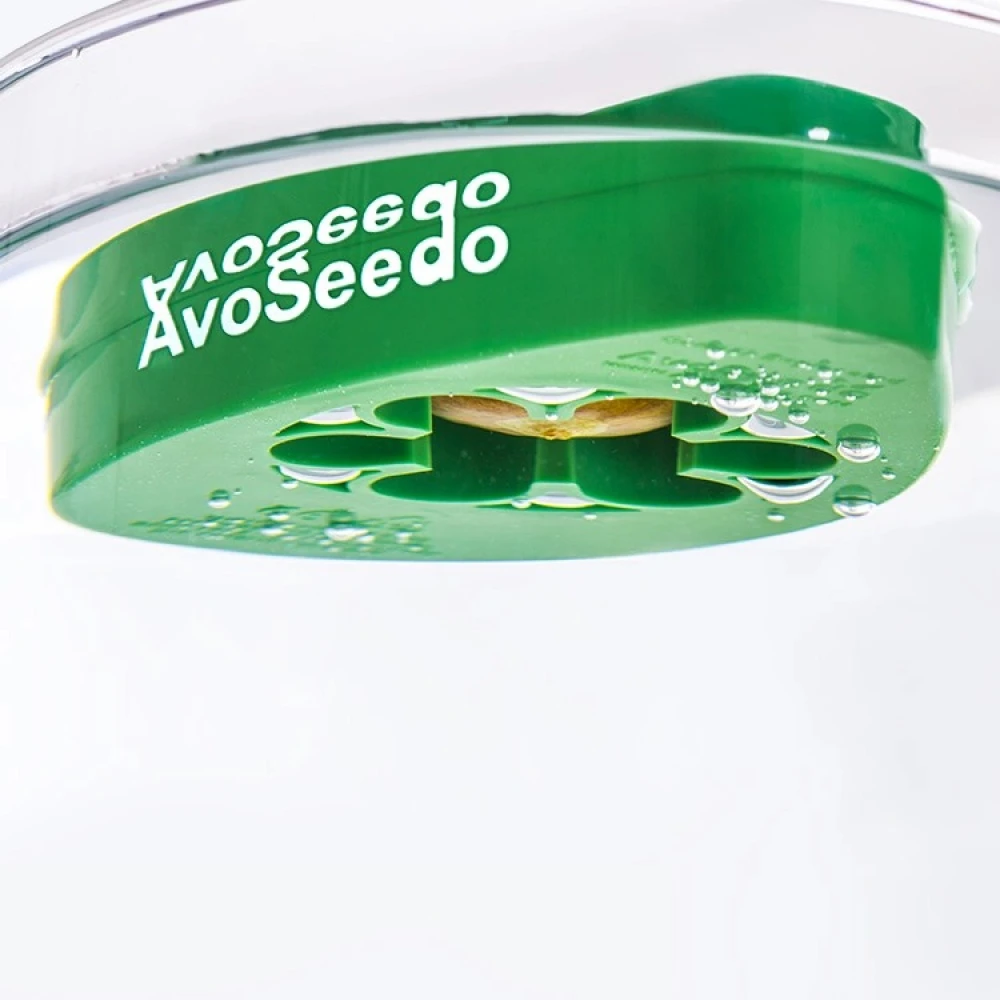 AvoSeedo, Dyrk Avocado 6 AvoSeedo, Dyrk Avocado - Billede 6