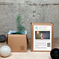 Vækstkit -SmartaSaker butik 13070 5