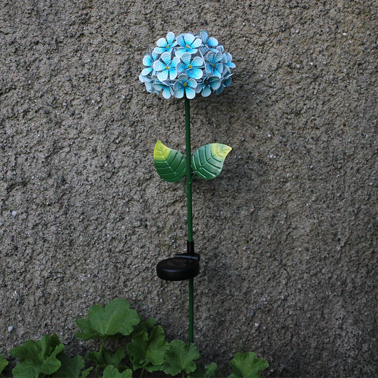 Solcelleblomst På Spyd, Hortensia 1 Solcelleblomst På Spyd, Hortensia