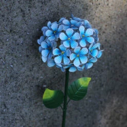 Alternative view of Solcelleblomst På Spyd, Hortensia