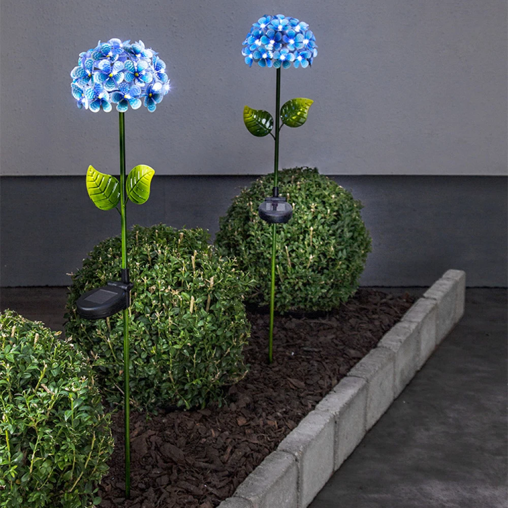 Solcelleblomst På Spyd, Hortensia 3 Solcelleblomst På Spyd, Hortensia - Billede 3