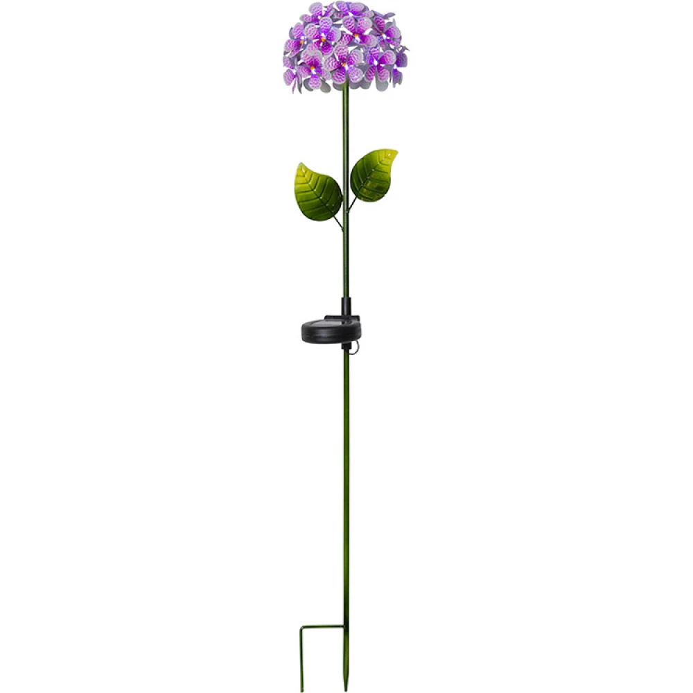 Solcelleblomst På Spyd, Hortensia 6 Solcelleblomst På Spyd, Hortensia - Billede 6