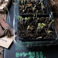 Varmemåtte Til Krydderurter -SmartaSaker butik 13255 4