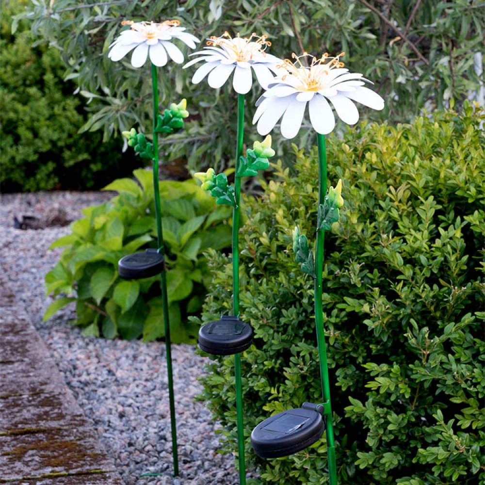 Solcelleblomst På Spyd, Daisy 4 Solcelleblomst På Spyd, Daisy - Billede 4
