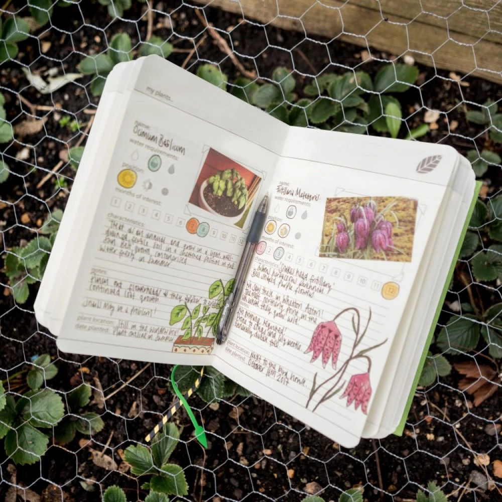 Mine Haveplanter 4 Mine Haveplanter - Billede 4