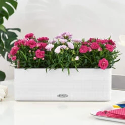 Selvvandende Altankasse -SmartaSaker butik 13722 6