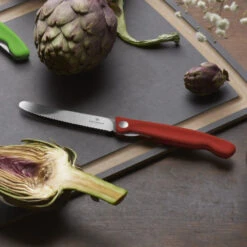 Sammenfoldelig Picnic Kniv Med Takket Blad 12 Sammenfoldelig Picnic Kniv Med Takket Blad -SmartaSaker butik 13987 3